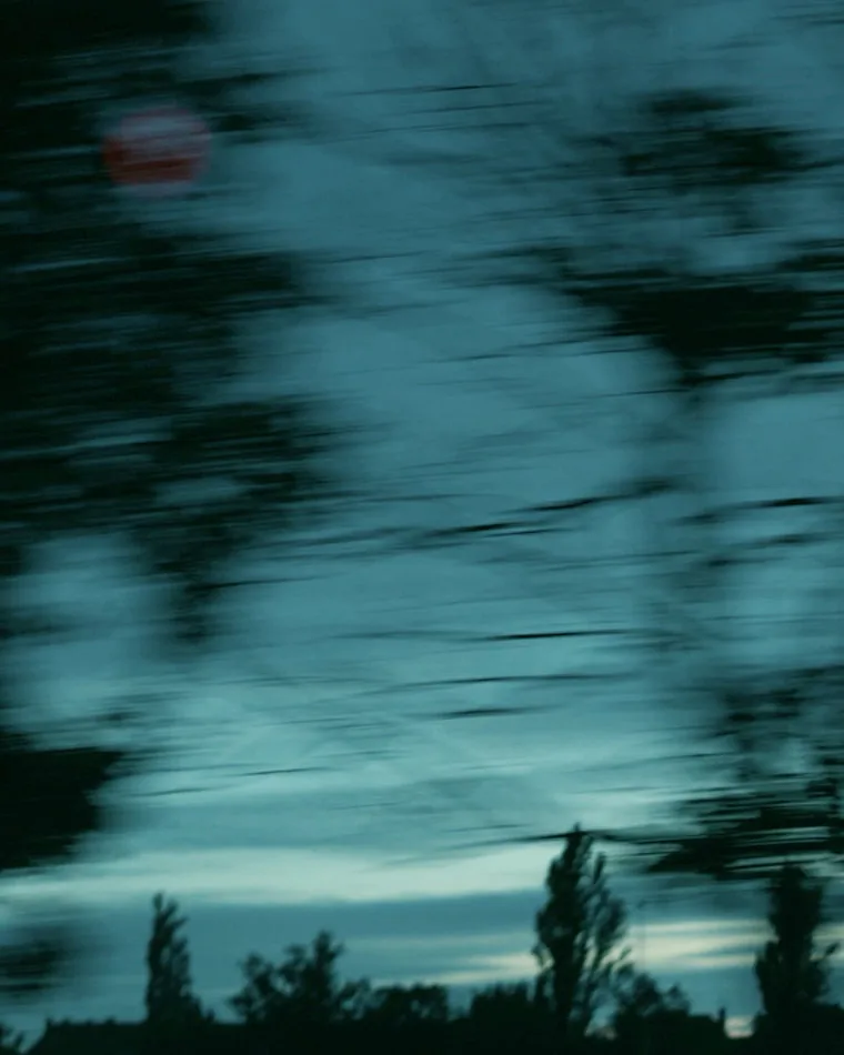Landschaftsaufnahme aus dem Porträtfilm für Siemens Bäume und Himmel spiegeln sich in dunklem Wasser, aus der Fahrt aufgenommen
